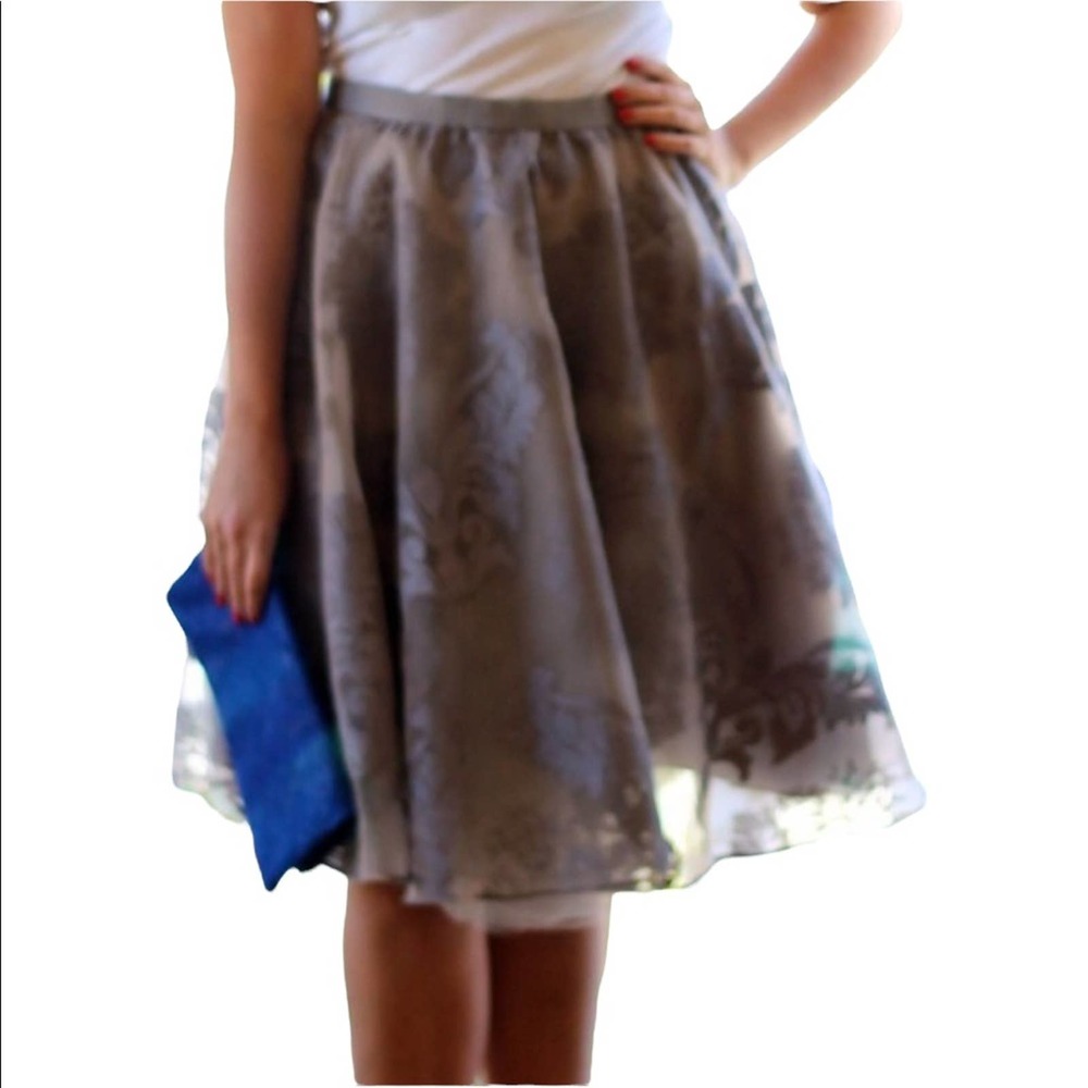 Baraschi Anthropologie Lace Tulle Skirt